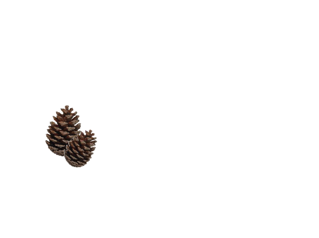 Logo Pure Pellets